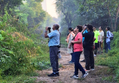 birding-delhi