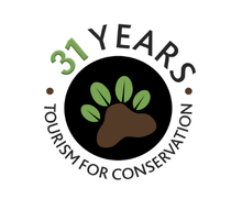 31 Years Logo 