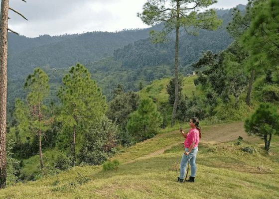 place to visit in Jageshwar