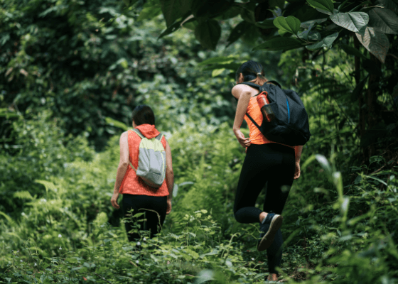 trekking tour jageshwar almora