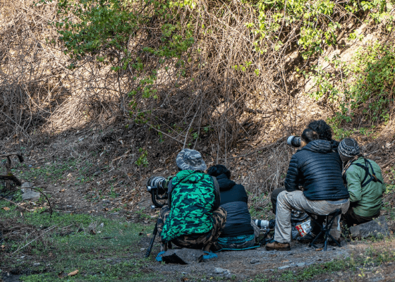 jim corbett family packages from delhi
