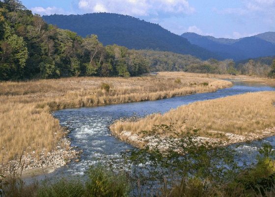jim corbett national park packages