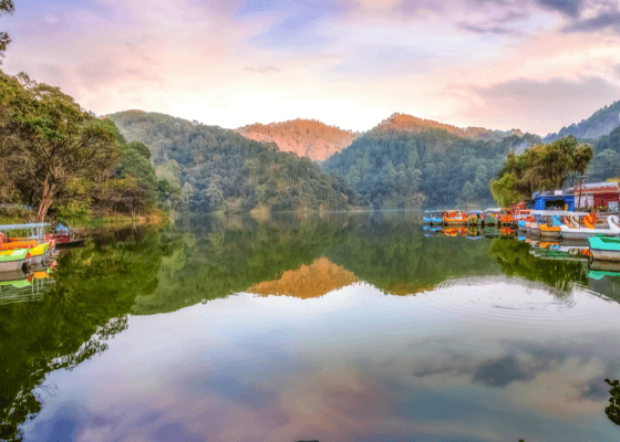 jim corbett tour packages price