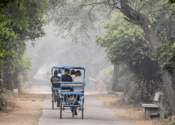 birding_trips_in_bharatpur