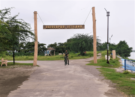 haiderpur_wetland_bijnor