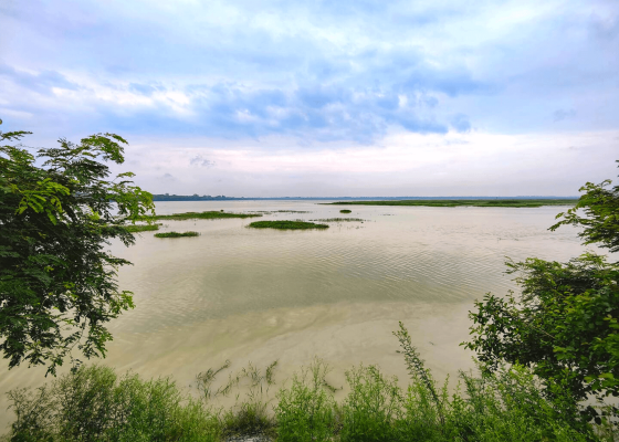 haiderpur_wetland_birding