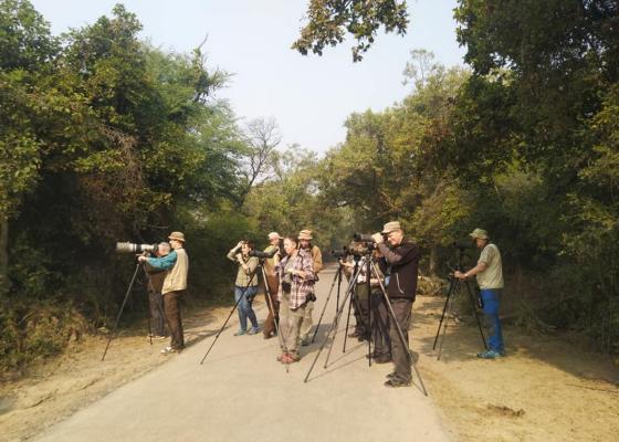 birdwatching_in_bharatpur