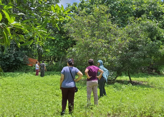 Earth_walks_in_Gir_Birding_Lodge