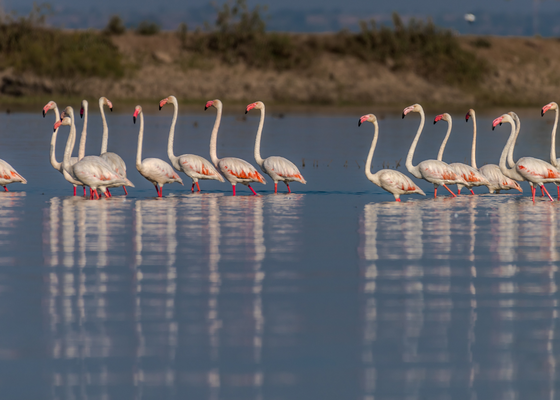 bhagwan wildlife sanctuary