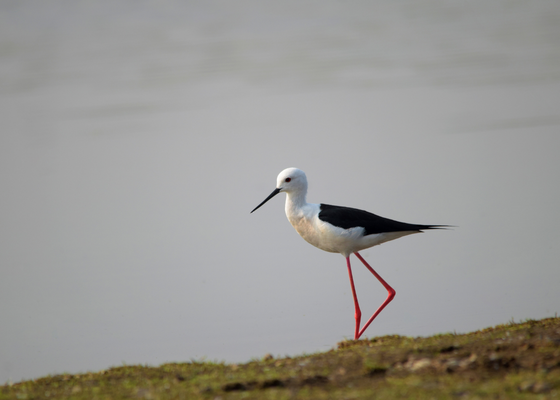 earth walks in bhagwan wildlife sanctuary pune