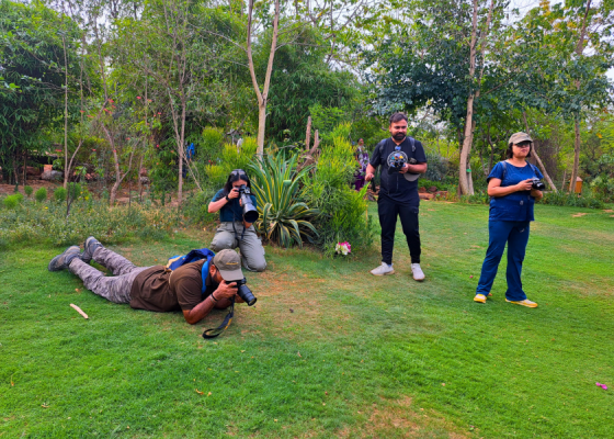 Best time to see butterflies at Asola Bhatti