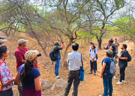 Butterfly sanctuary in Delhi