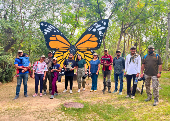 Butterfly watching in Delhi