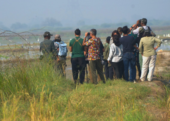 chandu-budhera-bird-photography-tour