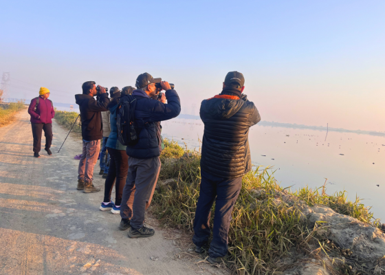 chandu-budhera-wetlands-bird-watching