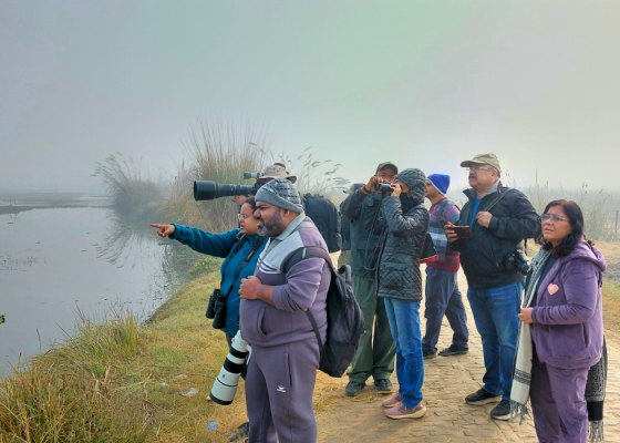 dhanauri-wetland-birding