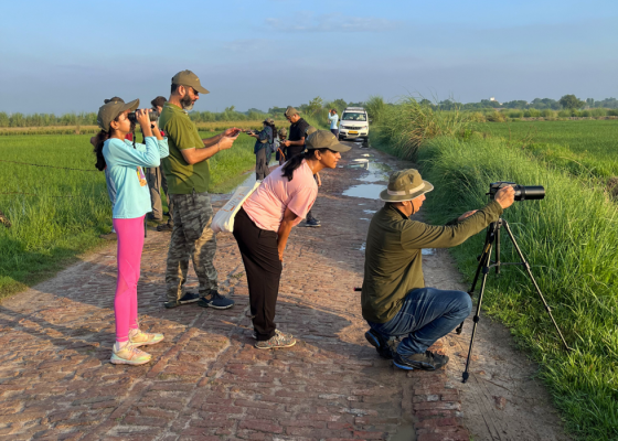 guided-birding-tour-in-uttar-pradesh