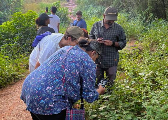 sanjay-van-full-day-trip