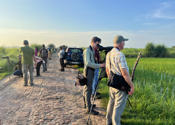 waterbirds-of-dhanauri-wetlands